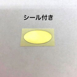 [受注製作]2024年干支　水引辰 龍付き　お年玉袋　お札が折らずに入ります　万型のし袋(封をするシール付き) 10枚目の画像