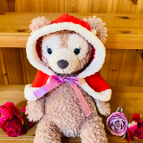 再販 リーナベル コスチューム リーナベルコスチューム クッキーアン