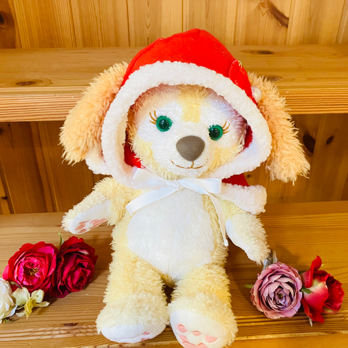 リーナベル コスチューム リーナベルコスチューム クッキーアン サンタ 