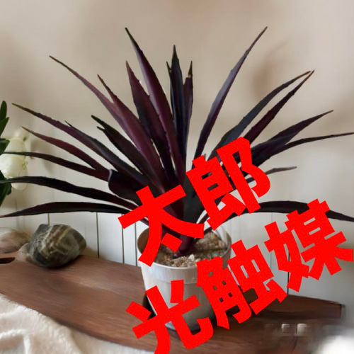 光触媒 人工観葉植物 ウォールグリーン フェイクグリーン ロングアガベ