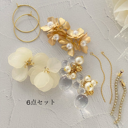 取り替えられるリングピアス6点セット 1枚目の画像