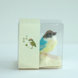 土佐和紙×ひよこ窯　小さな小鳥「八色鳥（ヤイロチョウ）」 3枚目の画像