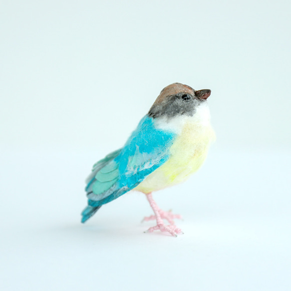 土佐和紙×ひよこ窯 小さな小鳥「八色鳥（ヤイロチョウ）」 立体 