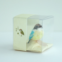 土佐和紙×ひよこ窯　小さな小鳥「八色鳥（ヤイロチョウ）」 2枚目の画像