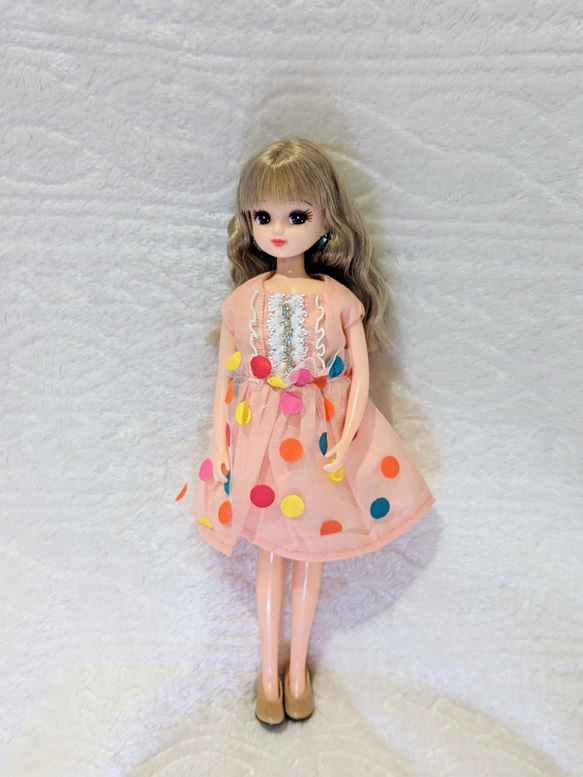 22センチドール ピュアニーモ リカちゃん ブライス 着せ替え服セット