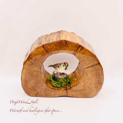 一つ限りの流木アート 枝にとまるスズメ ジオラマ 流木 フィギュア 置物 インテリア レジン モモンガ N2 2枚目の画像