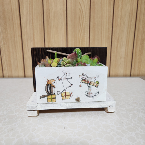多肉植物寄せ植え そのまま飾れる 木製プランター ハンドメイド