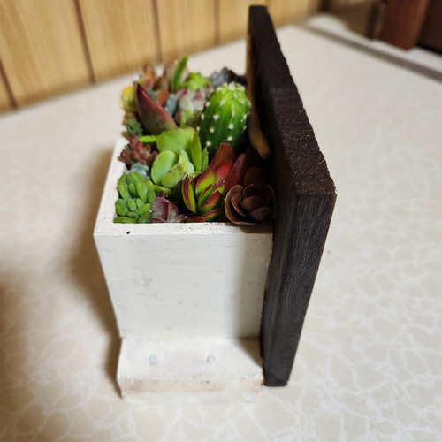 ピアノ型木製プランター　ハンドメイド　多肉植物　寄せ植え 多肉植物寄せ植え そのまま飾れる 木製プランター ハンドメイド