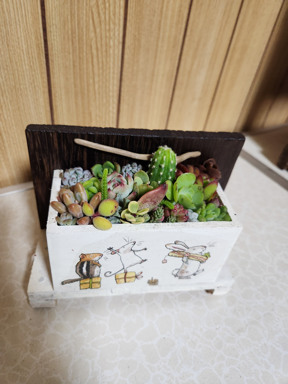 多肉植物寄せ植え そのまま飾れる 木製プランター ハンドメイド