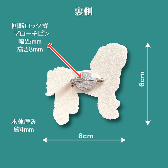  第7張的照片