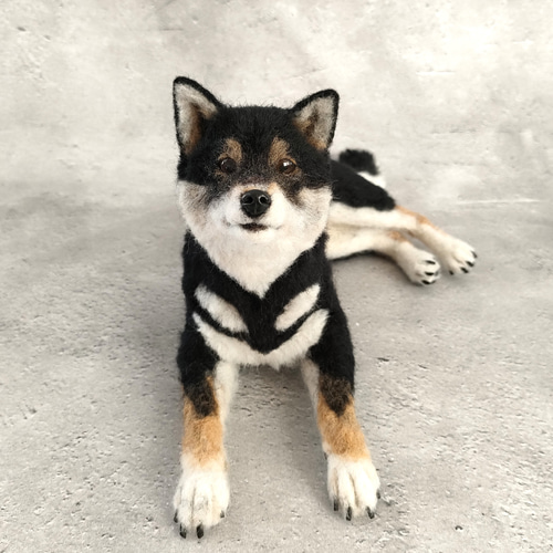 羊毛フェルト 黒柴さん 羊毛フェルト 羊毛わんこ 福や工房 通販 羊毛フェルト 黒柴さん 羊毛フェルト 羊毛わんこ 福や工房 通販