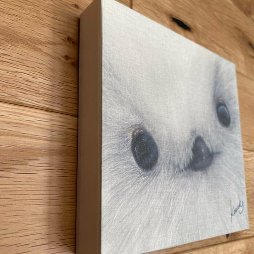 羊毛フェルトで作る雪の妖精シマエナガ ハンドメイド オーダー受付