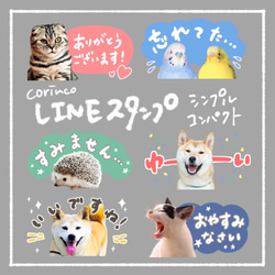 オリジナルLINEスタンプ｜80種類から選べる｜コンパクト｜シンプル｜ペット｜犬｜猫｜corinco 1枚目の画像