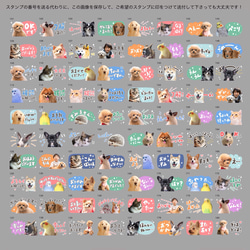 オリジナルLINEスタンプ｜80種類から選べる｜コンパクト｜シンプル｜ペット｜犬｜猫｜corinco 8枚目の画像
