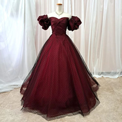 カラードレス 結婚式 演奏会 袖取り外し可 ロングドレス 二次会 花嫁  