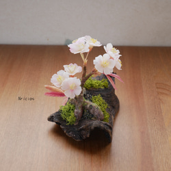 枯れない桜 流木 ✿クレイフラワー Mサイズ NO.S3-3R 2枚目の画像