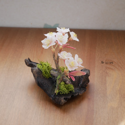 枯れない桜 流木 ✿クレイフラワー Mサイズ NO.S3-3R 3枚目の画像