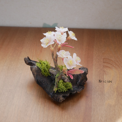 クレイフラワー　桜草 ☆クレイフラワー作品（春の訪れ・桜草ー2）☆ | iichi 日々の