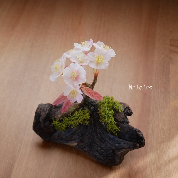 枯れない桜 流木 ✿クレイフラワー Mサイズ NO.S3-3R 9枚目の画像