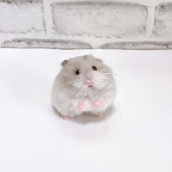 hana'sham**おやつ付**ブルーサファイア＊ハムスター＊羊毛