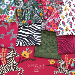 カットクロス Cloud9 Fabrics / Zebras 227368 Just Zebras 7枚目の画像