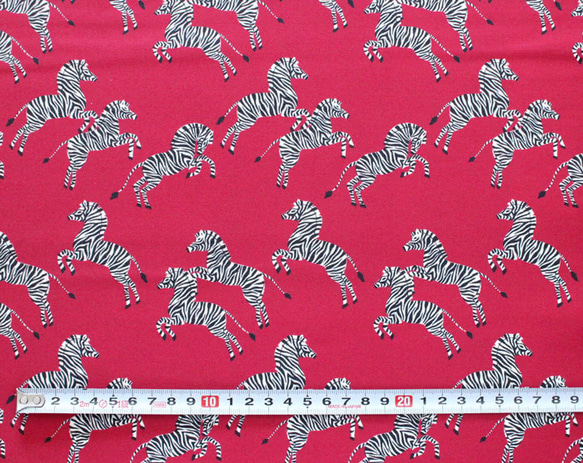 カットクロス Cloud9 Fabrics / Zebras 227368 Just Zebras 3枚目の画像