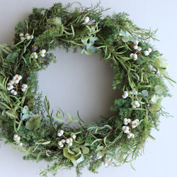 大きめグリーンホワイトクリスマスリース ドライフラワー クリスマス
