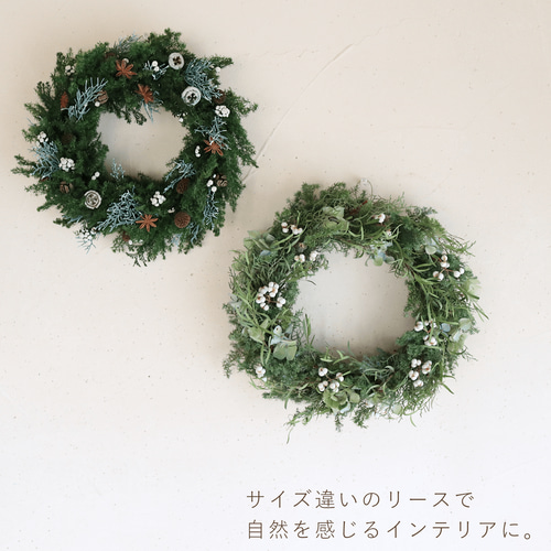 未使用☆春色リース☆グリーン☆C 大きめグリーンホワイトクリスマスリース ドライフラワー