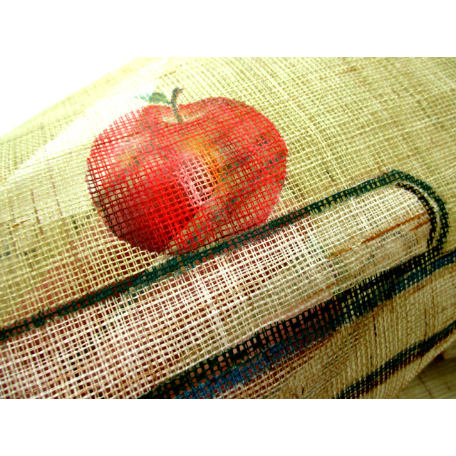 麻暖簾（積み上げた洋書の上のリンゴ）（黄緑色・茶色）