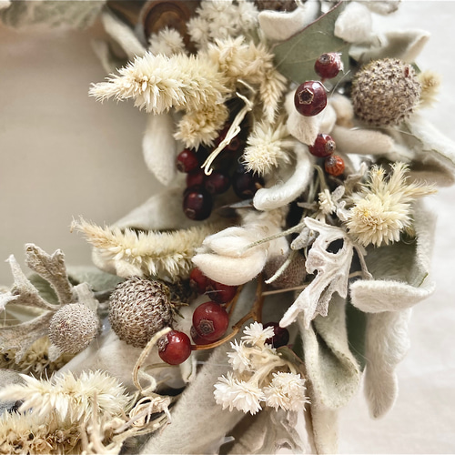 ☆クリスマスリース☆ ラムズイヤーのホワイトリース リース ハナハナ