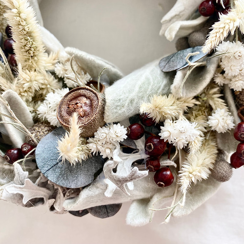 ☆クリスマスリース☆ ラムズイヤーのホワイトリース リース