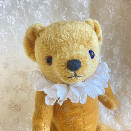 オッドアイ テディベア 25㌢ ぬいぐるみ Toki Bear 通販 16961209