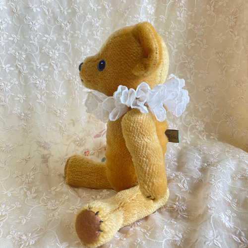 オッドアイ テディベア 25㌢ ぬいぐるみ Toki Bear 通販