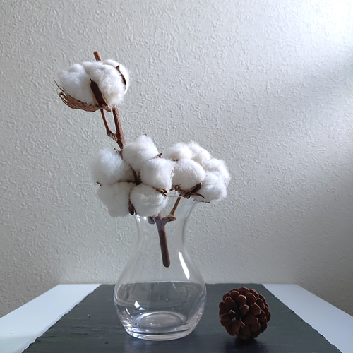 23.【クリスマス✕ツリー✕コットンフラワー】ドライフラワー ナチュラル 綿花 23.【クリスマス✕ツリー✕コットンフラワー】ドライフラワー