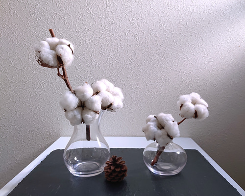 専用＊winter＊コットン＆ハスの実 ドライフラワータペストリー