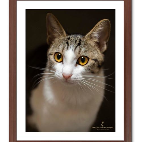 作品タイトル「理由」A3サイズ 写真作品 額付き