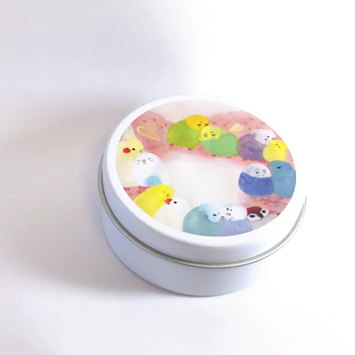 かわいい♪小鳥たちの小物入れ/ミニ缶ケース『羽繕いインコたち