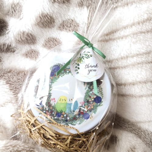 かわいい♪小鳥たちの小物入れ/ミニ缶ケース『菜の花畑インコ