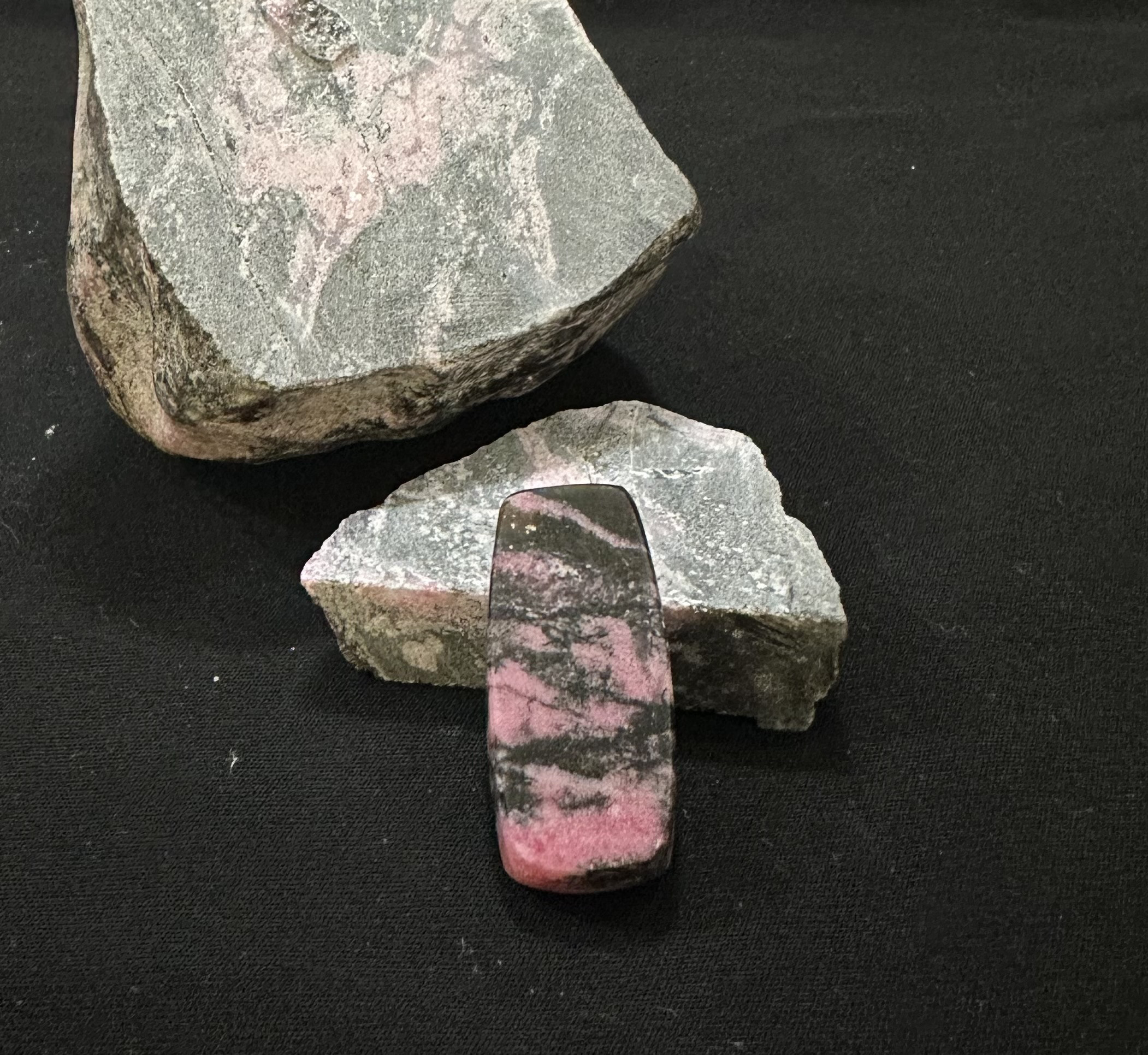 迎春　ロードナイト満開桜林