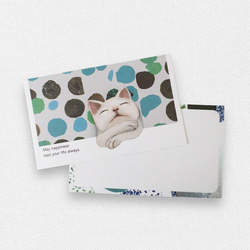 メッセージカード封筒セット（うとうと猫柄2種類） 8枚目の画像