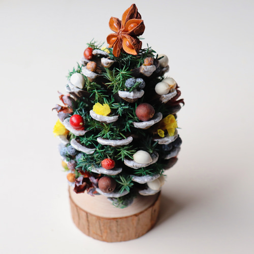 Creema限定 松ぼっくりのクリスマスツリー ドライフラワー somari to