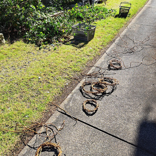 アケビのツルの素リース20個セット その他素材 Tsubasa KATOU 通販