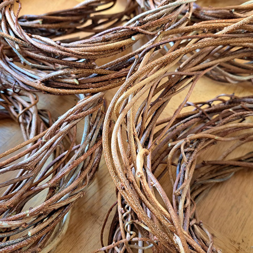 アケビのツルの素リース20個セット その他素材 Tsubasa KATOU 通販