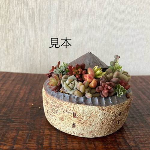 陶芸の家型多肉鉢① 一輪挿し・花瓶・花器 potpot 通販 16964951