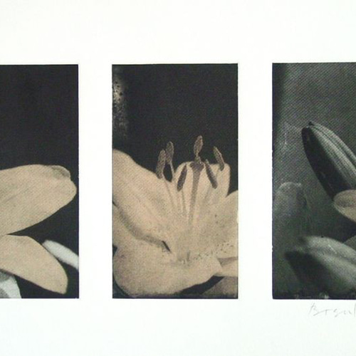 銅版画（エッチング）、紙、The Day of April #1 /版画/アート