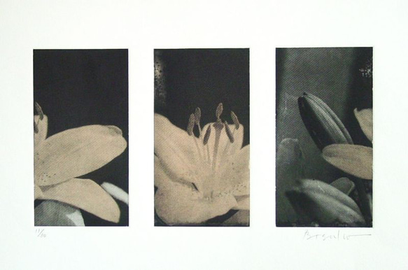 銅版画（エッチング）、紙、The Day of April #1 /版画/アート