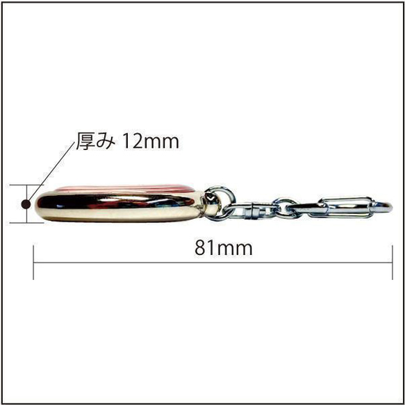 道路標識キーホルダー/指定方向外進行禁止A/直径31mmプラドーム型 6枚目の画像