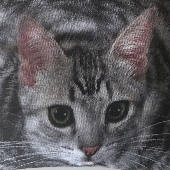 サバトラ猫  C  フラットポーチ 2枚目の画像