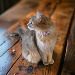 黒金煌々市松【蝶ネクタイ】＊猫(&小型犬)首輪 4枚目の画像