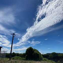 黒米（お試し200g） 5枚目の画像